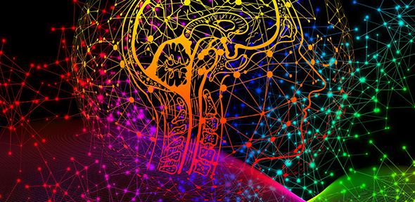 Artistic impression of a human head in cross-section, with a node-network map overlay, in rainbow colours